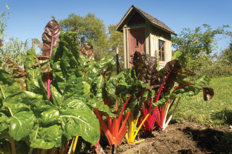 How to Make Money With Organic Gardening Image